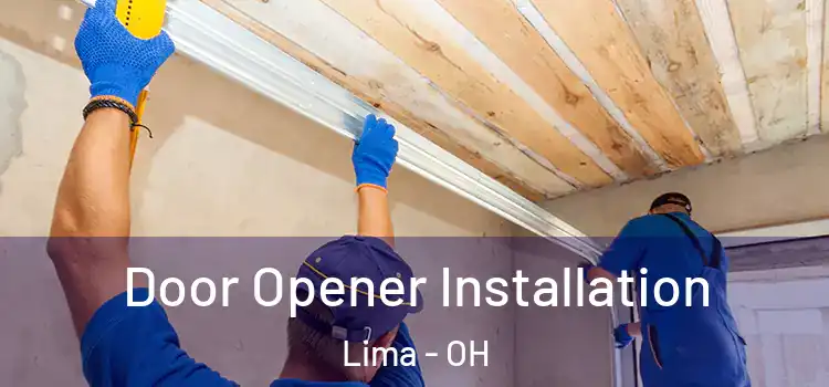  Door Opener Installation Lima - OH