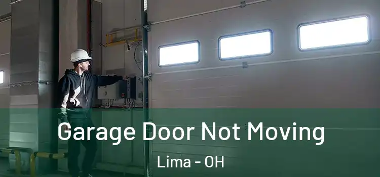  Garage Door Not Moving Lima - OH