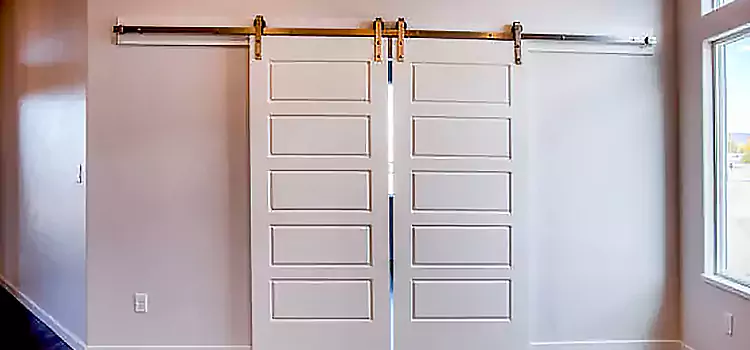 Glass Barn Door with Installation Hardware Kit Lima