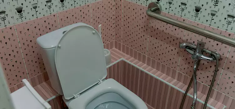 Meeting Diverse Needs With Accessible Restroom Solutions in Lima, OH